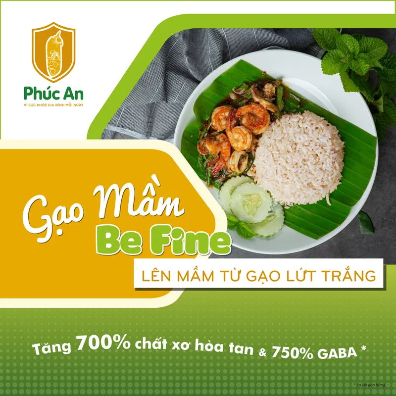 GẠO MẦM BE FINE - TÚI 1KG