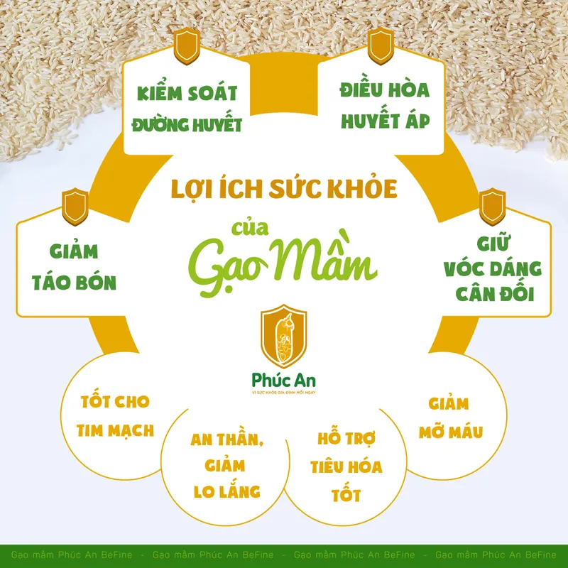 GẠO MẦM BE FINE - TÚI 1KG