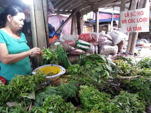 Phải lựa chọn thảo dược tắm sau sinh có nguồn gốc rõ ràng Phải lựa chọn thảo dược tắm sau sinh có nguồn gốc rõ ràng