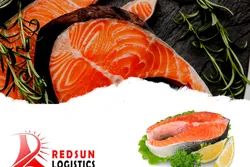 THỦ TỤC NHẬP KHẨU CÁ HỒI TƯƠI