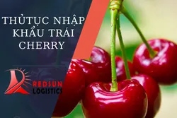 THỦ TỤC NHẬP KHẨU TRÁI CHERRY