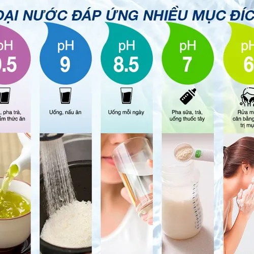 Máy điện giải Ion kiềm Kangen LeveLuk® K8