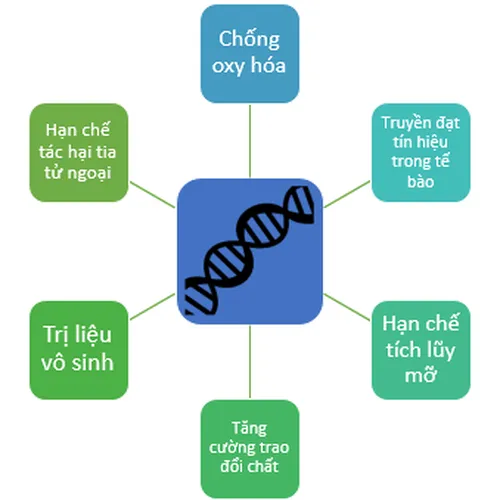 Máy điện giải Ion kiềm Trim Ion Gracia