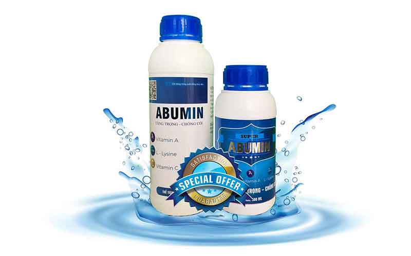 tăng trọng cho tôm