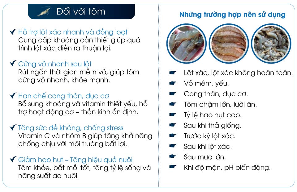 BLUESEA-vitamin-và-khoáng-hữu-cơ-cho-tôm-cá