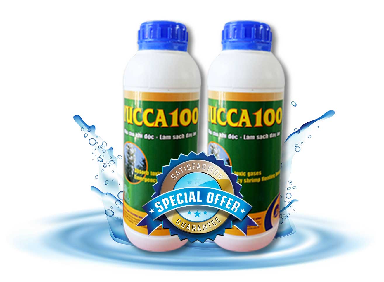 YUCCA 100 - Hấp thụ khí độc làm sạch nước ao tôm nhanh và hiệu quả