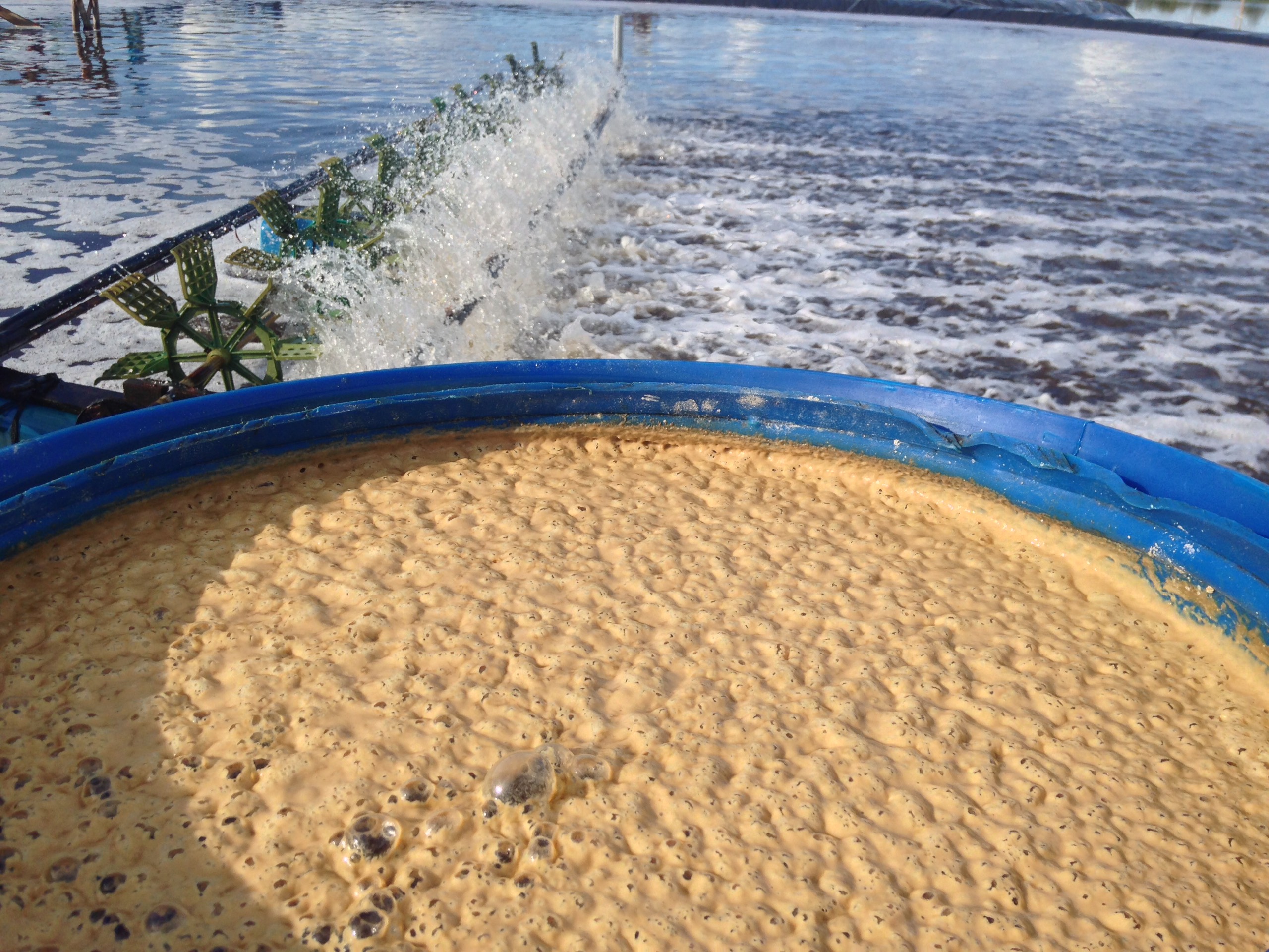 Men vi sinh O3 xử lý nước