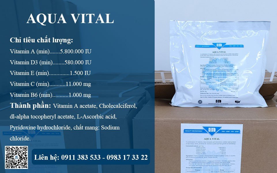 thành phần Aqua Vital