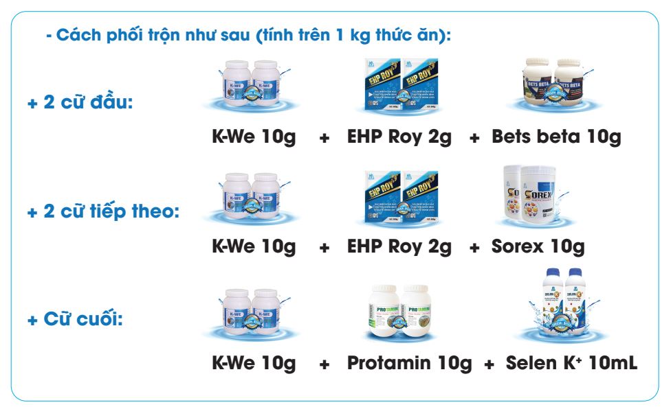giải pháp xử lý bệnh đốm đen trên tôm thẻ chân trắng