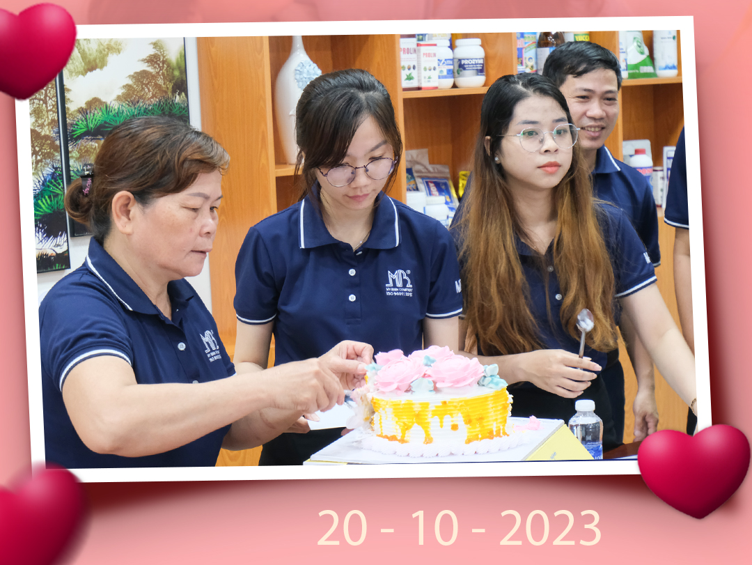 Các chị em cùng nhau chia sẻ bánh kem