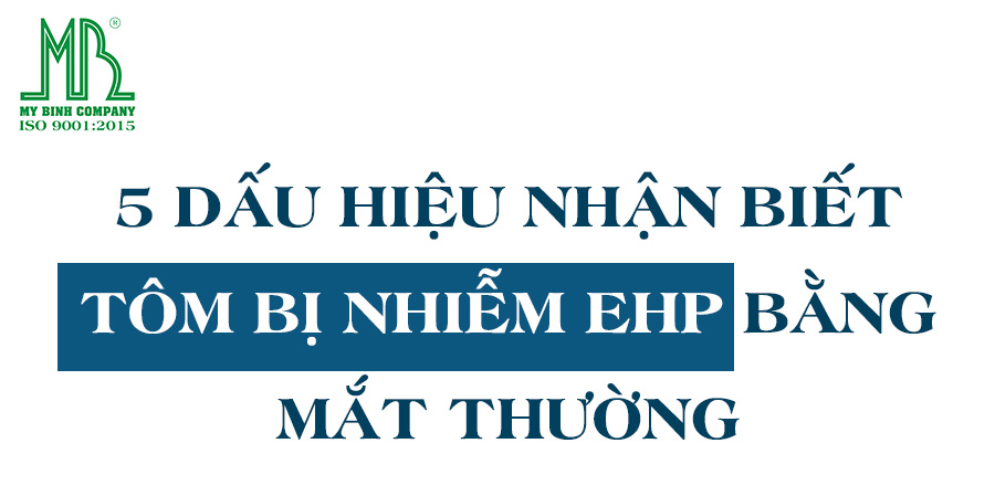 Dấu hiệu nhận biết tôm bị vi bào tử trùng ehp