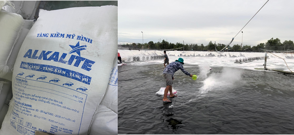 ALKALITE - Chuyên nâng pH và độ kiềm ALKALITE - Chuyên nâng pH và độ kiềm