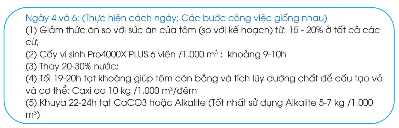 giải pháp xử lý bệnh đốm đen trên tôm thẻ chân trắng