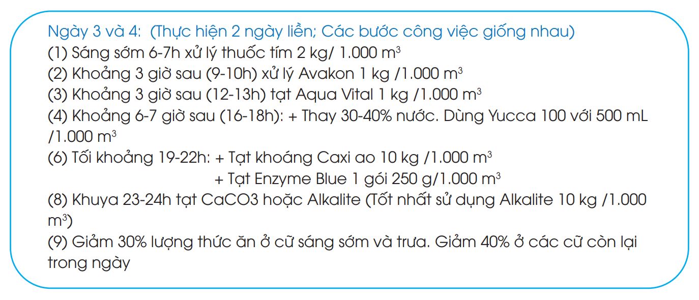 giải pháp xử lý bệnh đốm đen trên tôm thẻ chân trắng