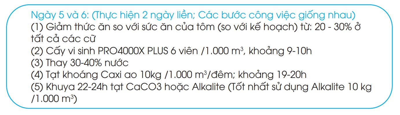 giải pháp xử lý bệnh đốm đen trên tôm thẻ chân trắng