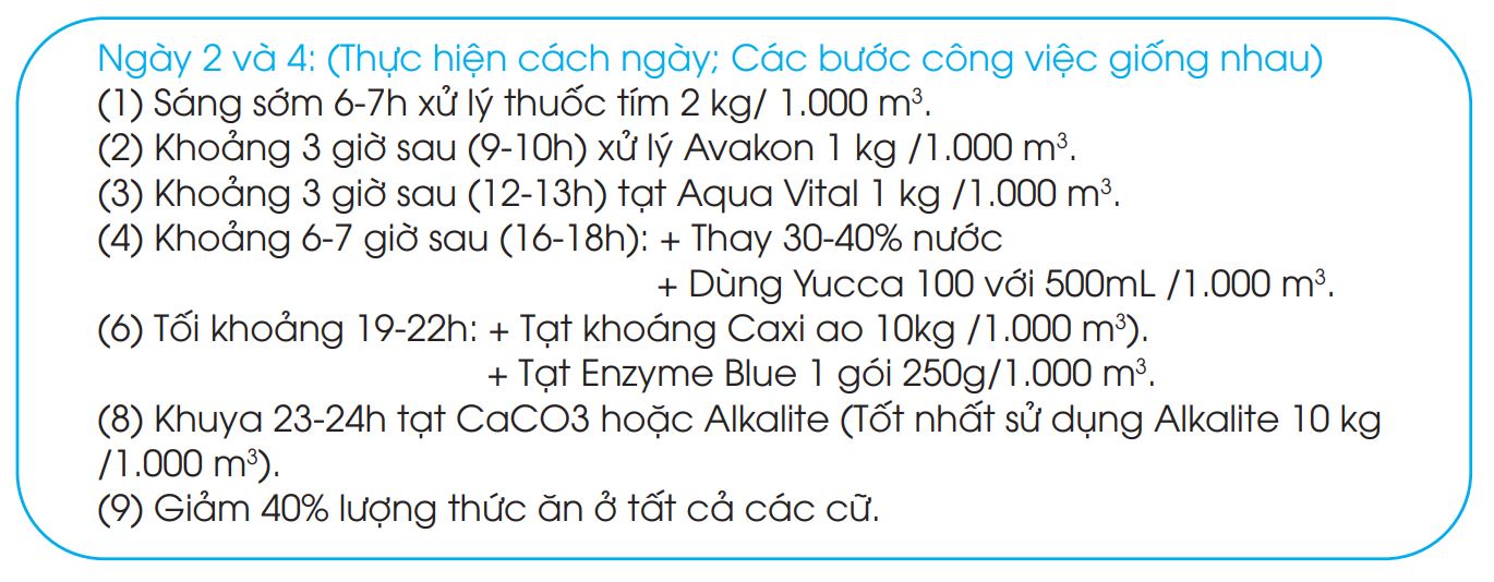 giải pháp xử lý bệnh đốm đen trên tôm thẻ chân trắng