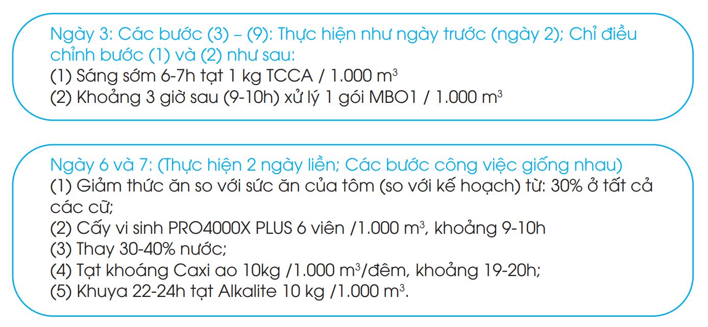giải pháp xử lý bệnh đốm đen trên tôm thẻ chân trắng