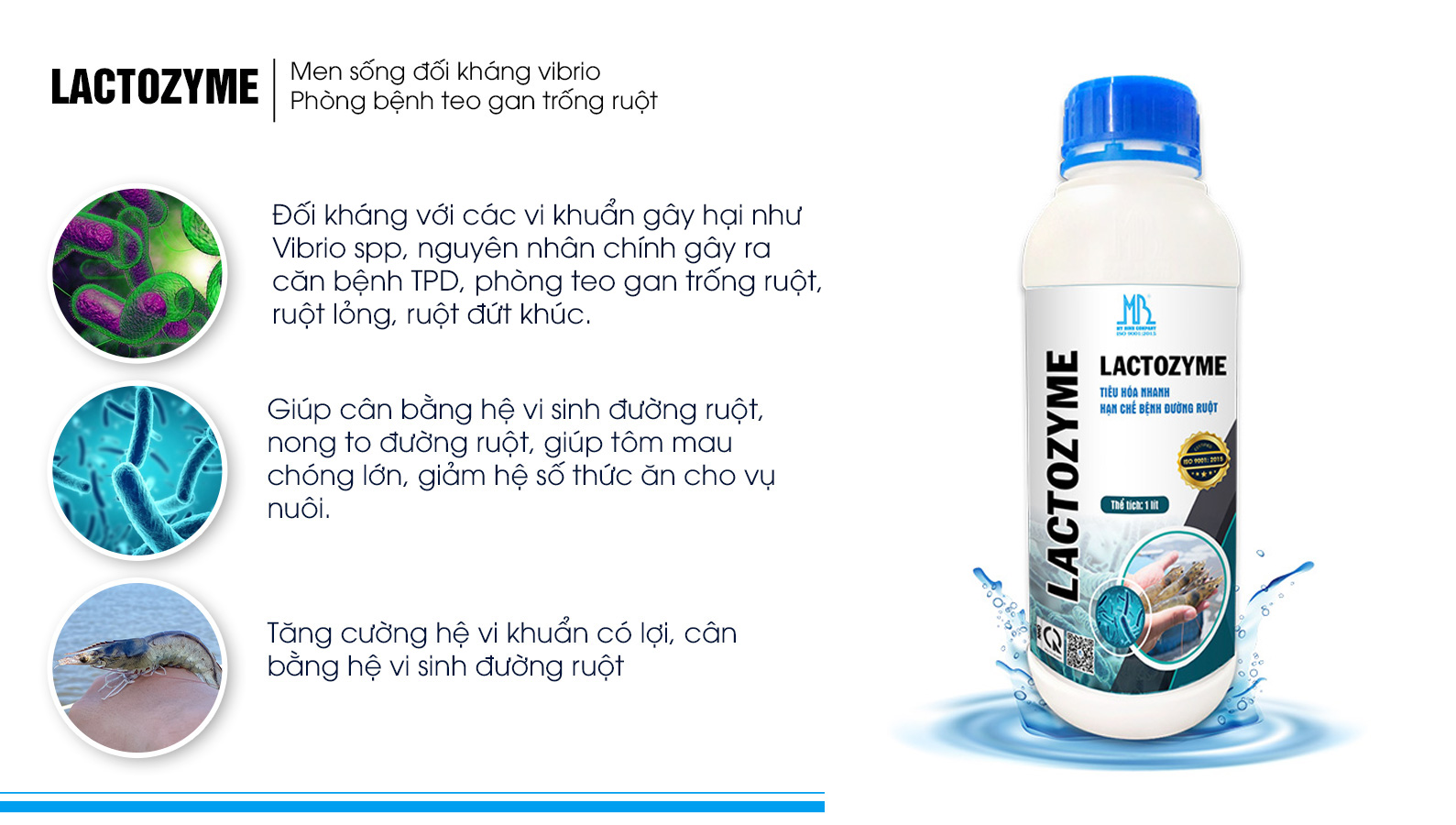 phòng tránh bệnh TPD (tôm thủy tinh)