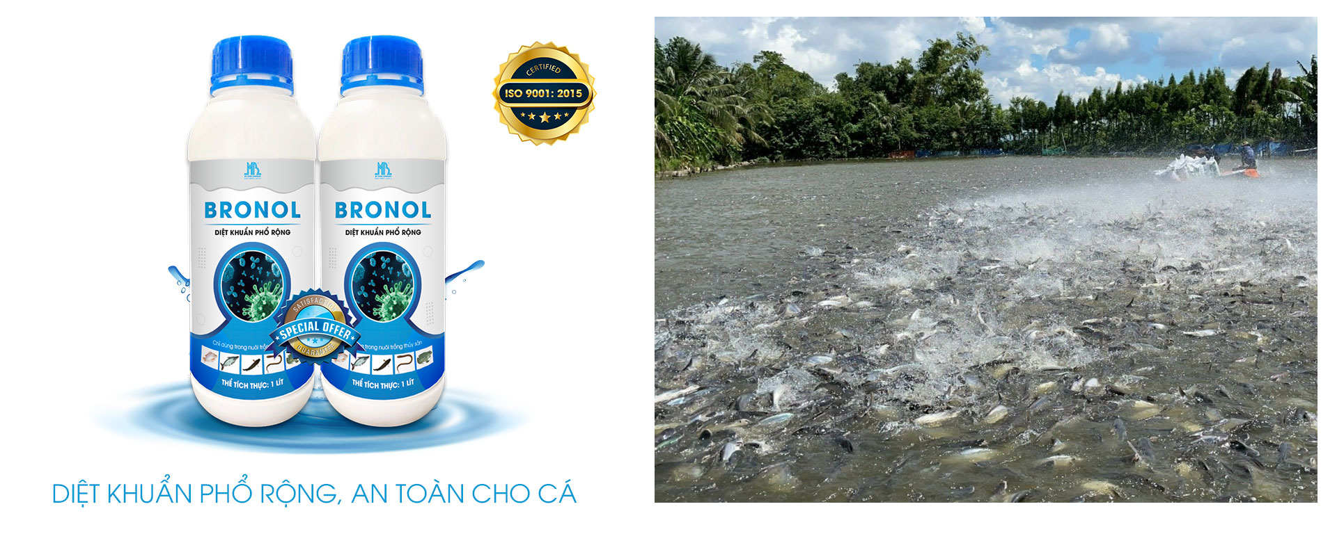 bệnh trắng gan, trắng mang trên cá