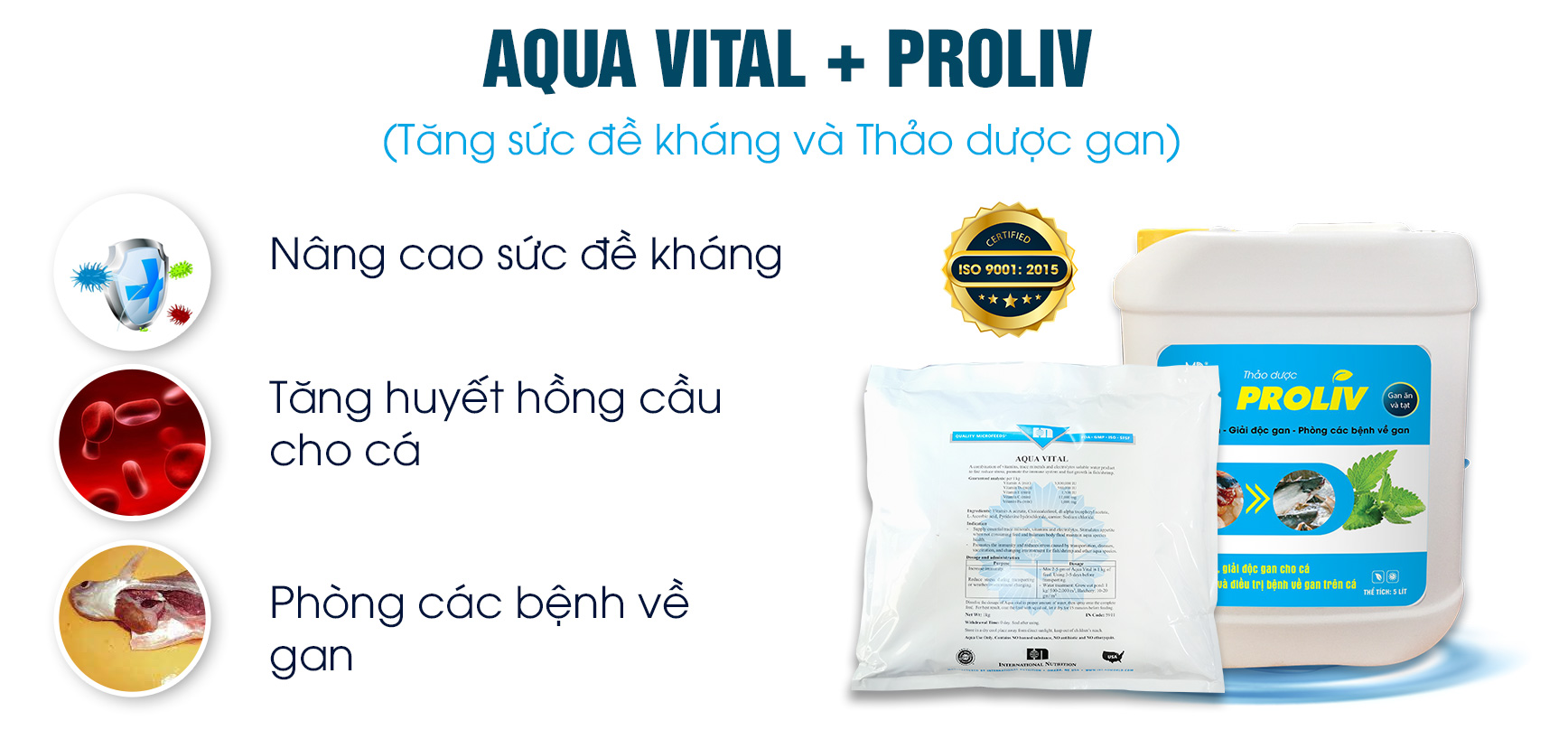 bệnh trắng gan, trắng mang trên cá