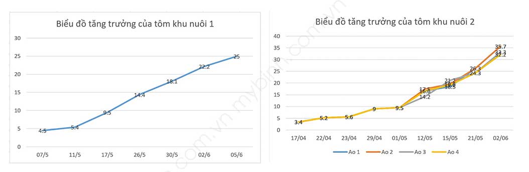 bệnh EHP trên tôm, thuốc phòng bệnh ehp trên tôm, thuốc thủy sản trị ehp, cách phòng bệnh vi bào tử trùng ehp trên tôm