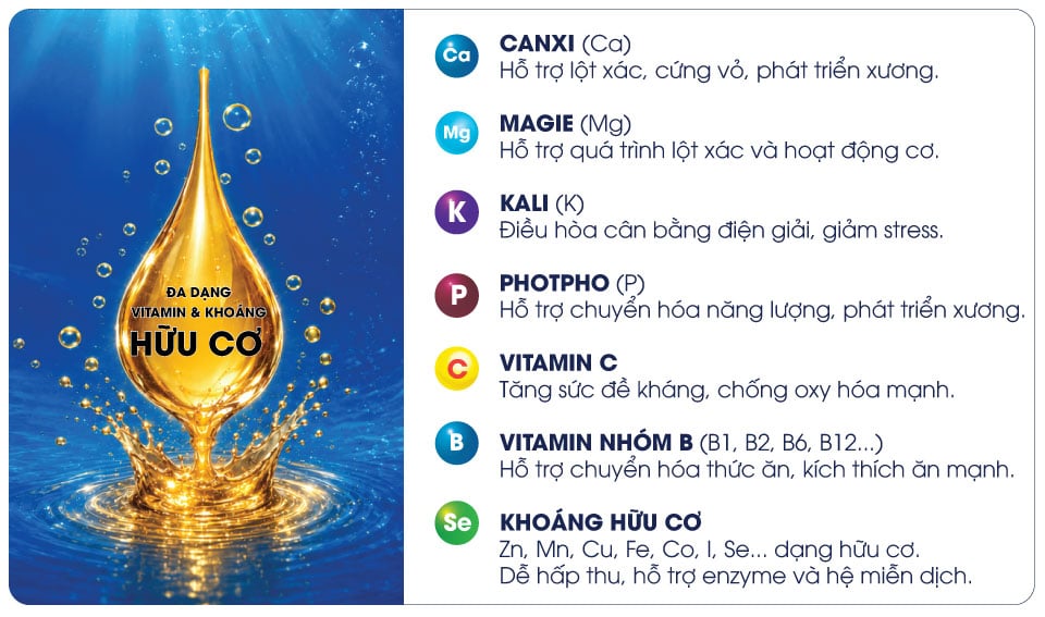 BLUESEA-vitamin-và-khoáng-hữu-cơ-cho-tôm-cá