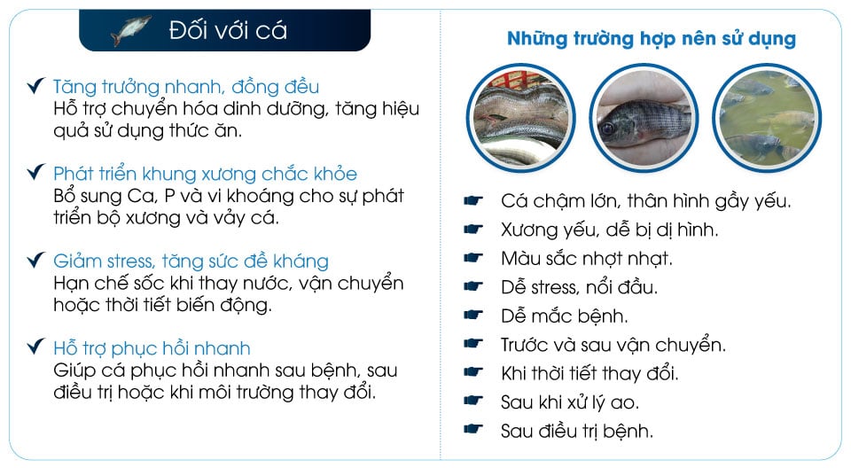 BLUESEA-vitamin-và-khoáng-hữu-cơ-cho-tôm-cá