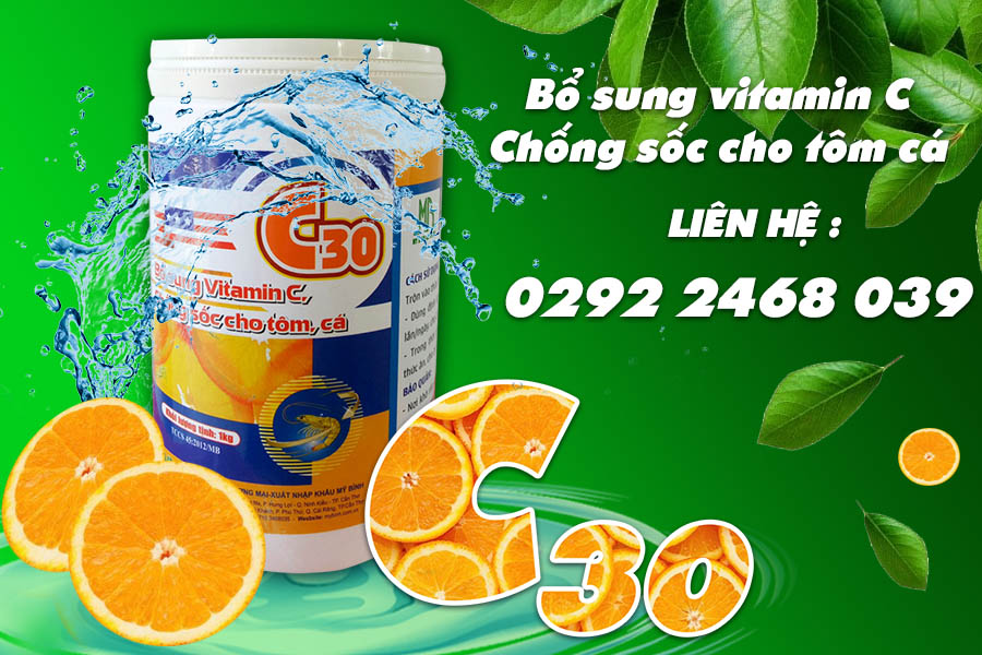 Thuốc bổ sung vitamin C cho tôm cá C30 Thuốc bổ sung vitamin C cho tôm cá C30