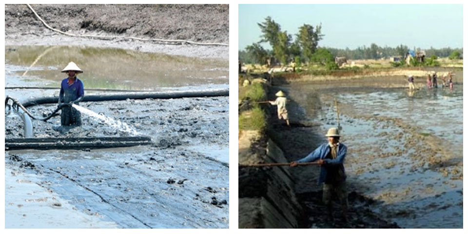 Cách Làm Sạch Đáy Ao Không Cần Máy Hút Bùn Cuối Vụ | Vi Sinh ECO BLUE