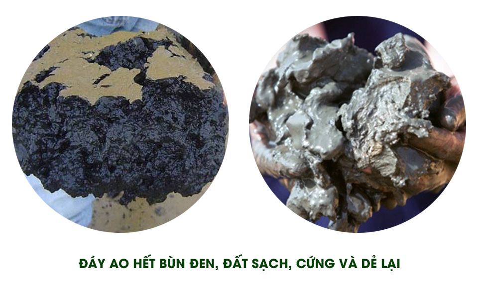 ECO BLUE - Ổn định môi trường, xử lý bùn đáy, giảm khí độc, khử mùi hôi