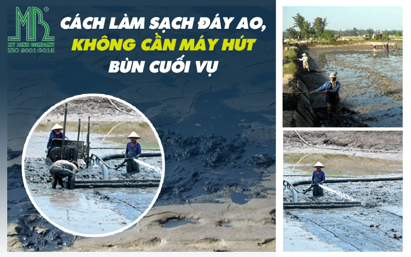 Cách Làm Sạch Đáy Ao Không Cần Máy Hút Bùn Cuối Vụ | Vi Sinh ECO BLUE