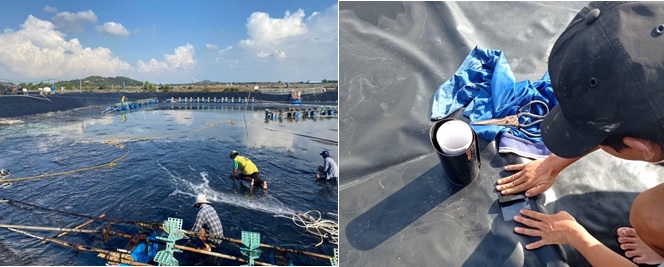 Cải tạo ao trước khi vào vụ nuôi tôm mới Cải tạo ao trước khi vào vụ nuôi tôm mới