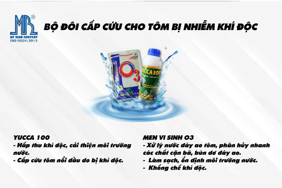 cấp cứu tôm bị nhiễm khí độc