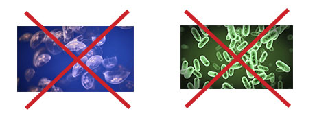 BRONOL  Thuốc diệt khuẩn trong ao tôm, diệt nấm, nguyên sinh động vật, sứa nước trong ao nuôi tôm. BRONOL  Thuốc diệt khuẩn trong ao tôm, diệt nấm, nguyên sinh động vật, sứa nước trong ao nuôi tôm.