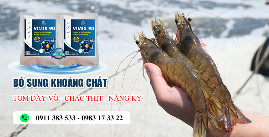 vimix 90cung cấp khoáng chất và vitamin cho tôm nuôi