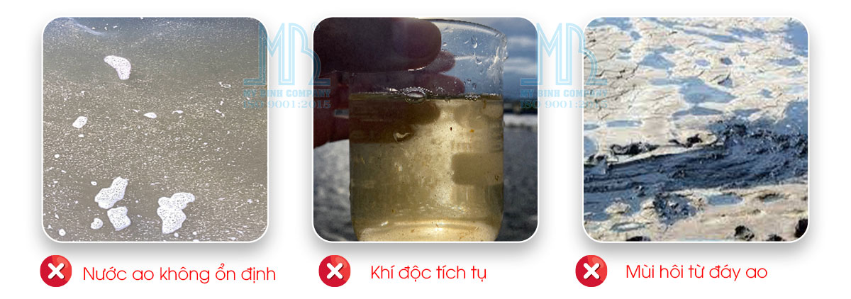 ECO BLUE - Ổn định môi trường, xử lý bùn đáy, giảm khí độc, khử mùi hôi