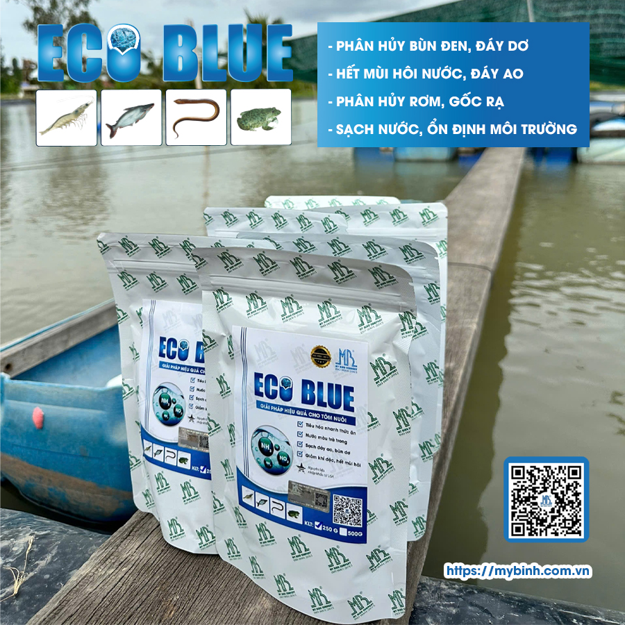 ECO BLUE - Ổn định môi trường, xử lý bùn đáy, giảm khí độc, khử mùi hôi