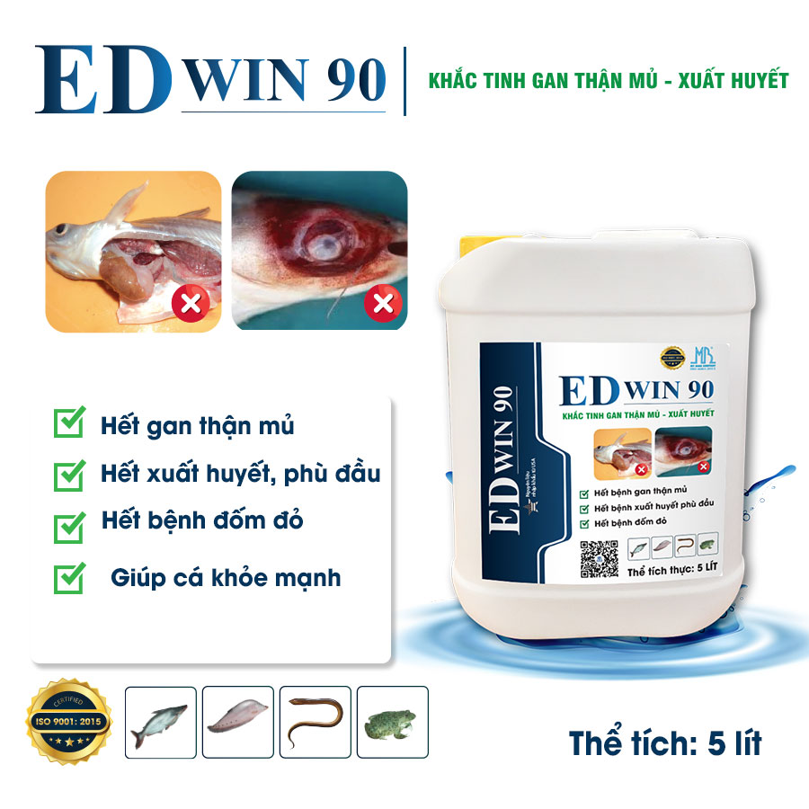 ED WIN 90 - Hỗ trợ phòng trị gan thận mủ, xuất huyết phù đầu, đốm đỏ trên cá