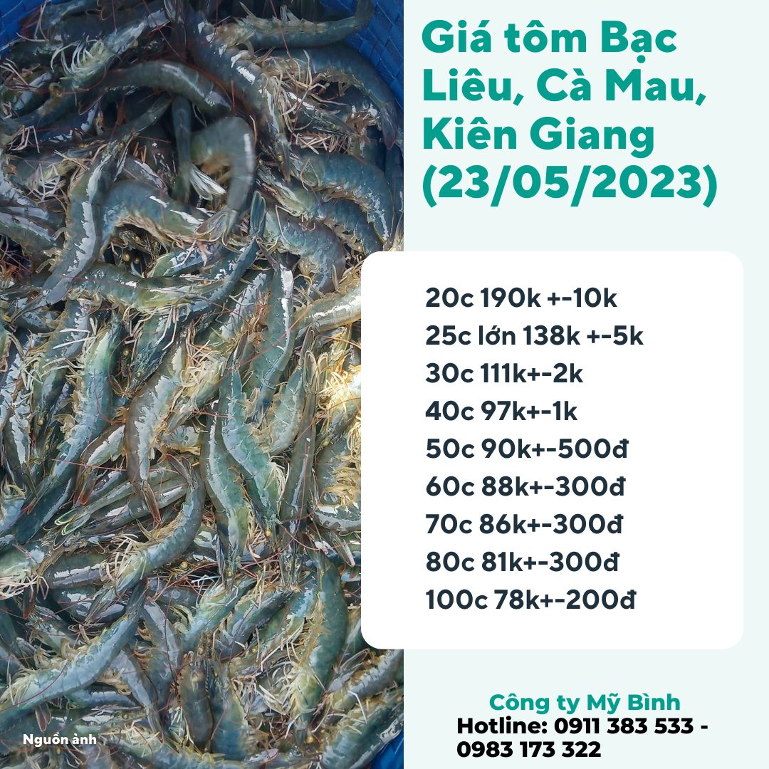 giá tôm Bạc Liêu, Cà Mau, Kiên Giang ngày 23/5/2023