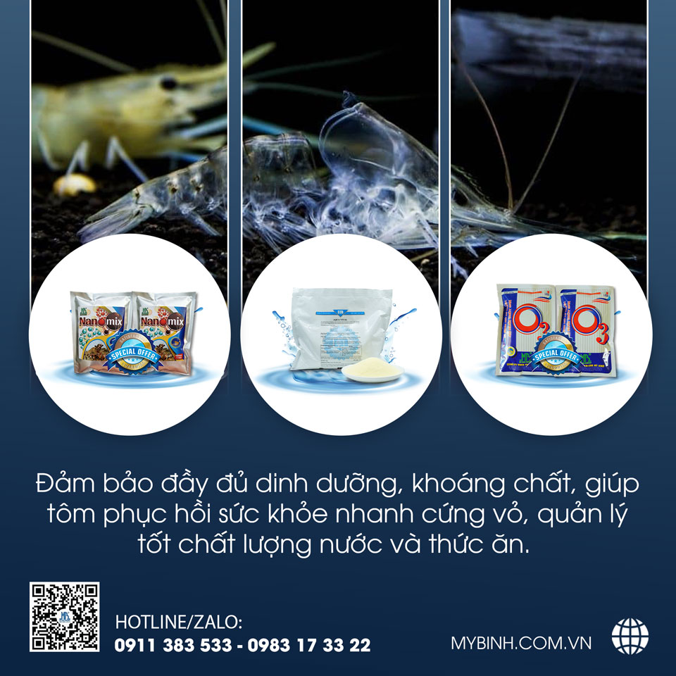 các yếu tố tác động đến quá trình lột xác của tôm