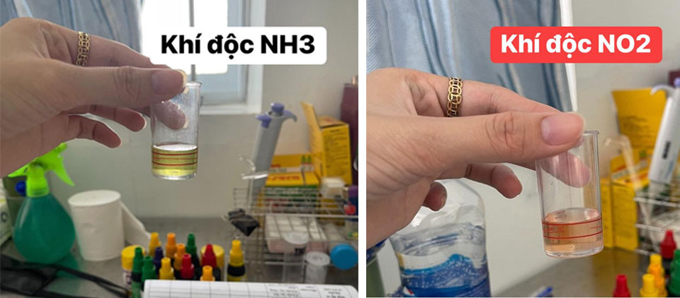 Sử dụng men vi sinh IMPACK giúp hạn chế khí độc trong ao nuôi tôm