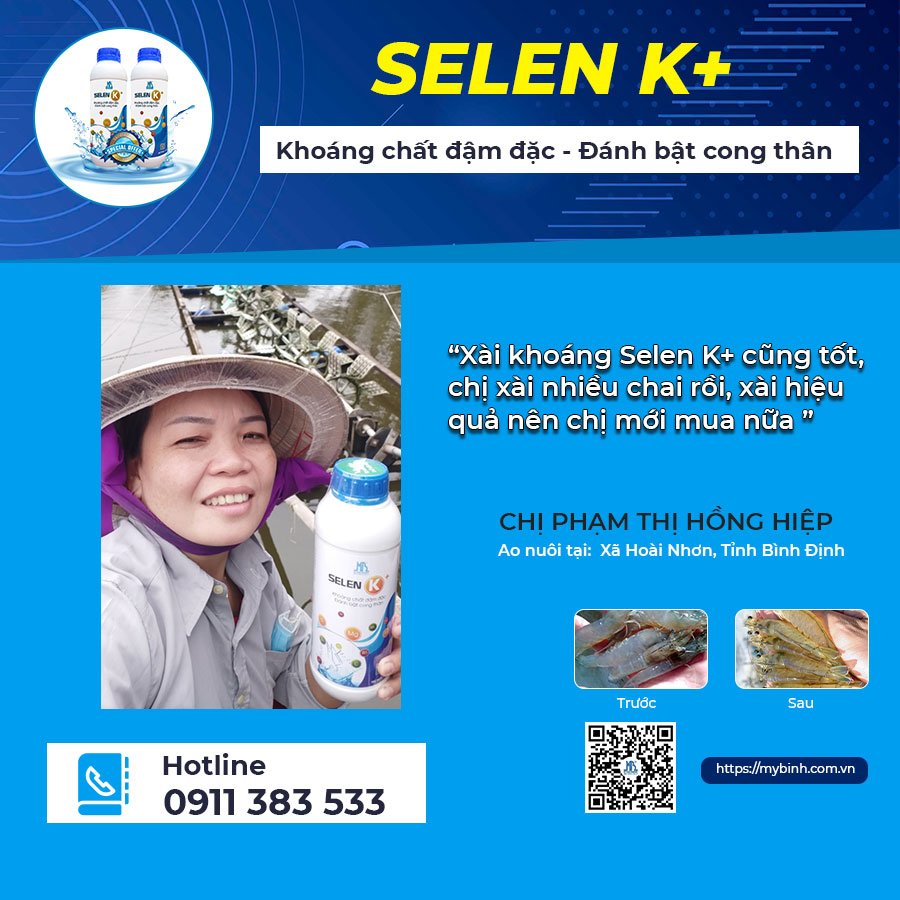 Khoáng chất phòng và trị cong thân đục cơ ở tôm Khoáng chất phòng và trị cong thân đục cơ ở tôm