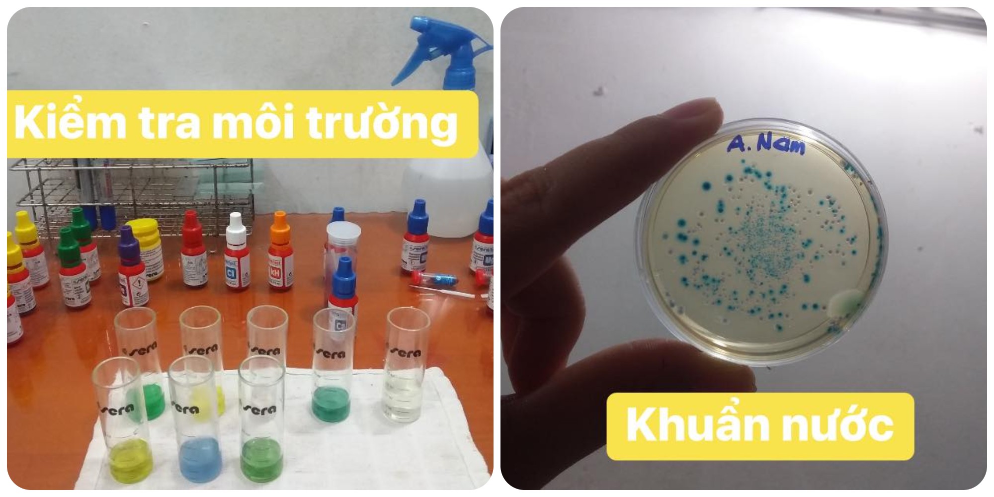 Kiểm tra các chỉ tiêu môi trường và test khuẩn trong ao tôm của anh Nam