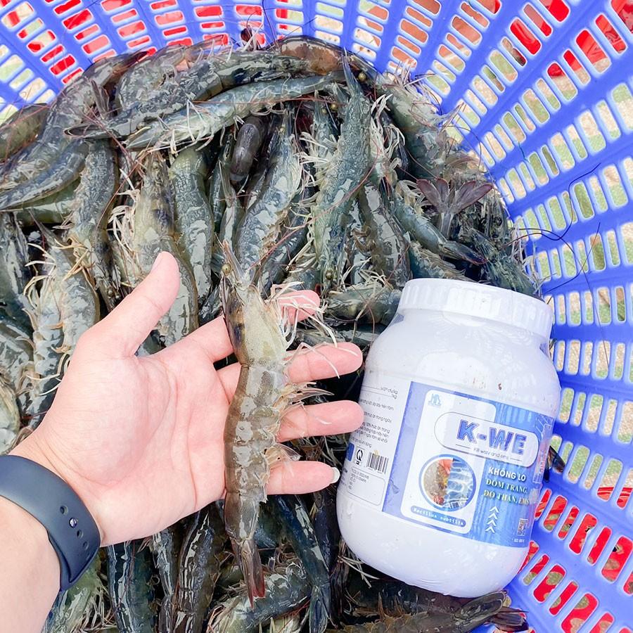 bổ sung KWE trong giải pháp EHP và vi rút đốm trắng của Mỹ Bình
