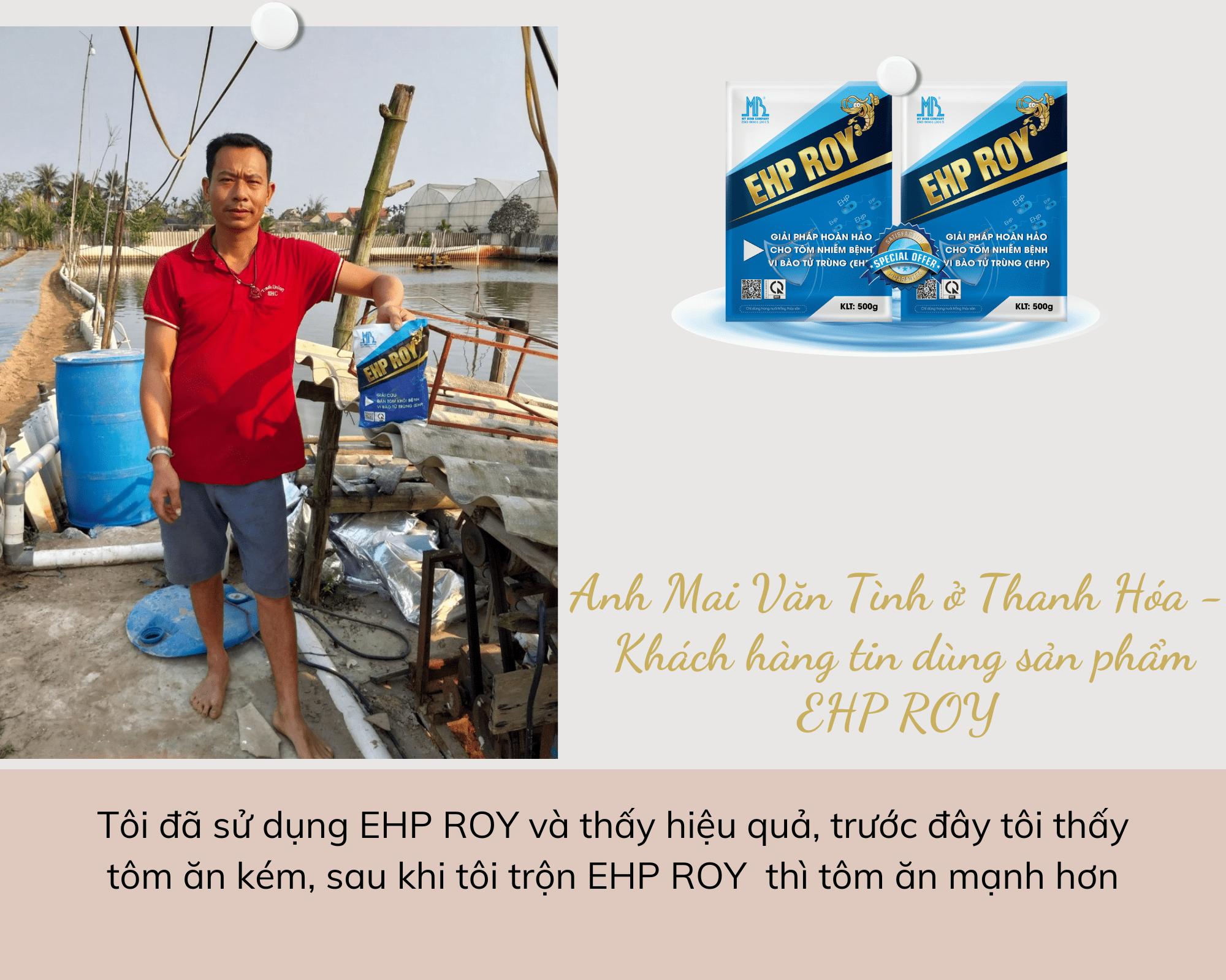 bệnh EHP trên tôm, thuốc phòng bệnh ehp trên tôm, thuốc thủy sản trị ehp, cách phòng bệnh vi bào tử trùng ehp trên tôm