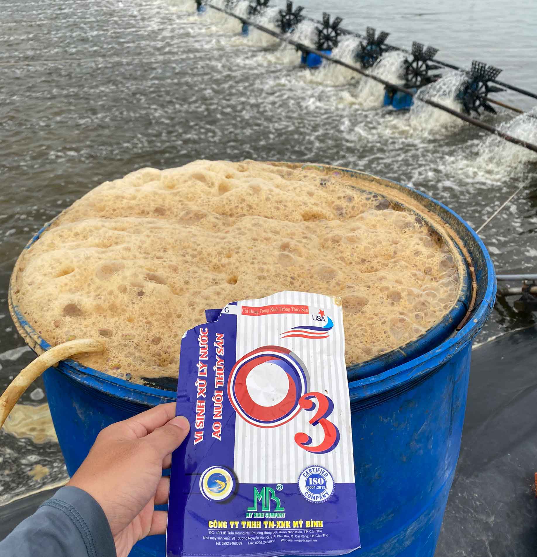 O3 men vi sinh xử lý nước ao tôm cắt tảo, gây màu nước O3 men vi sinh xử lý nước ao tôm cắt tảo, gây màu nước