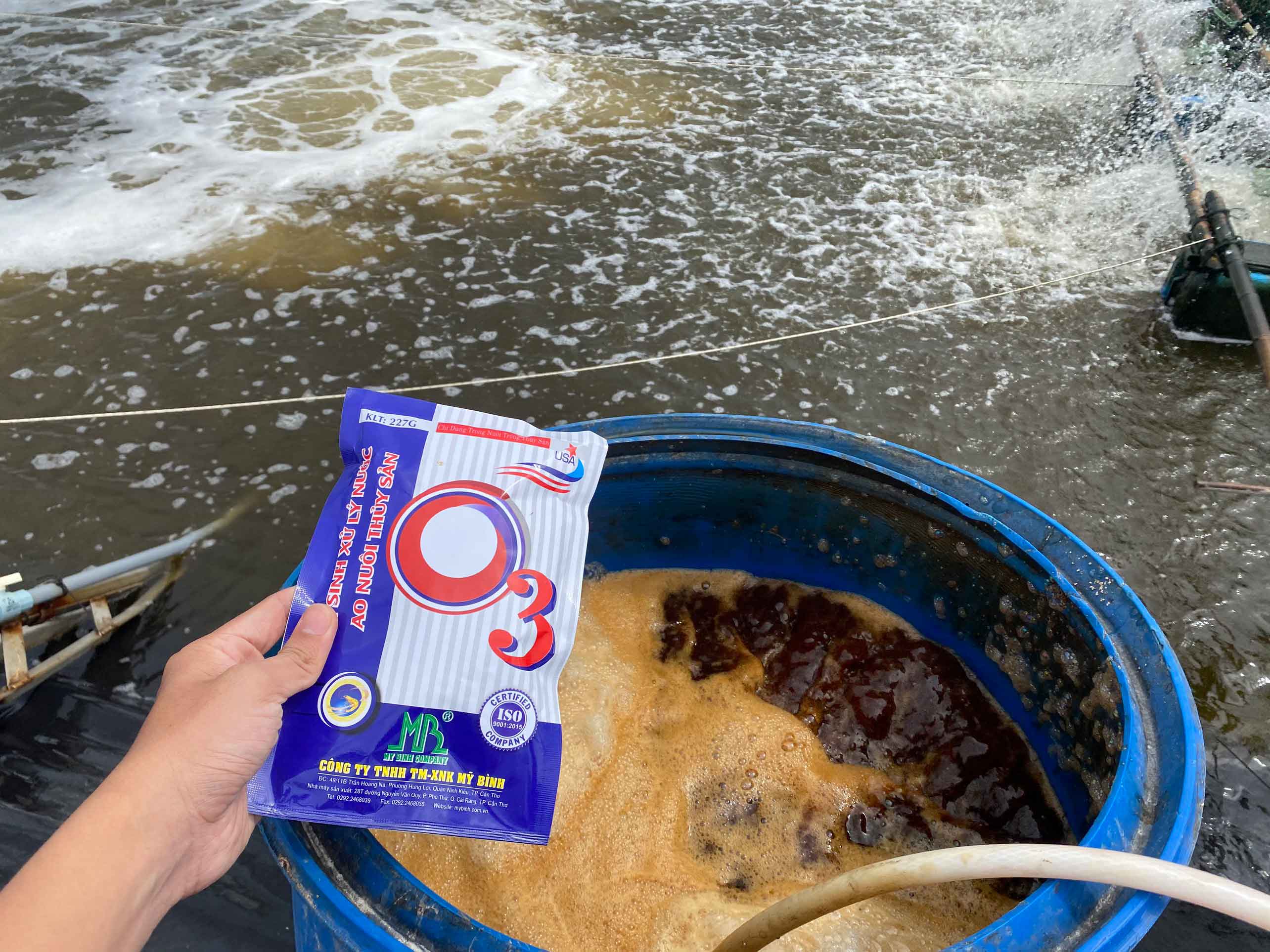O3 men vi sinh xử lý nước ao tôm cắt tảo, gây màu nước O3 men vi sinh xử lý nước ao tôm cắt tảo, gây màu nước