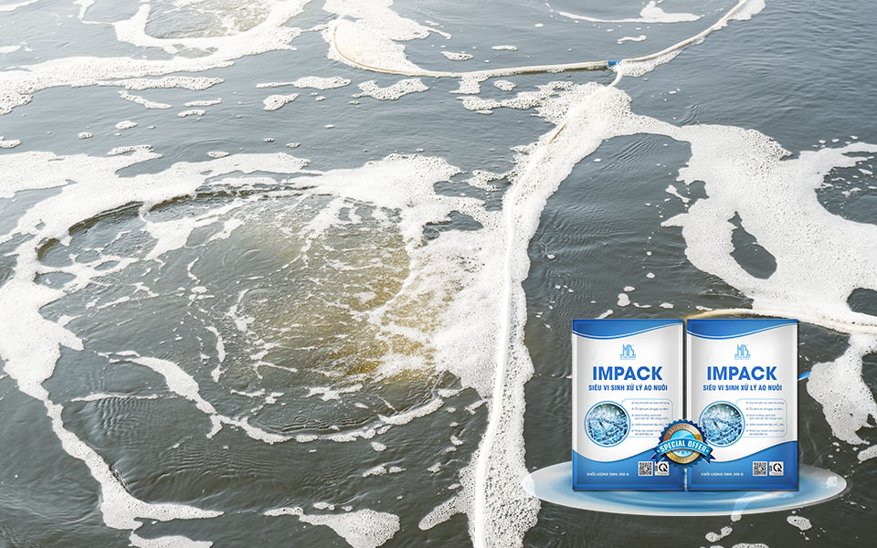 Sử dụng men vi sinh IMPACK nước ao luôn duy trì màu nước vàng trà và trong