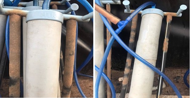 Nấm đồng tiền bám vào vỉ oxy Nấm đồng tiền bám vào vỉ oxy