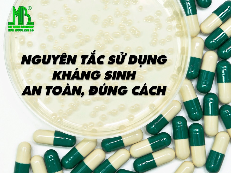 nguyên tắc sử dụng kháng sinh trong nuôi tôm nguyên tắc sử dụng kháng sinh trong nuôi tôm